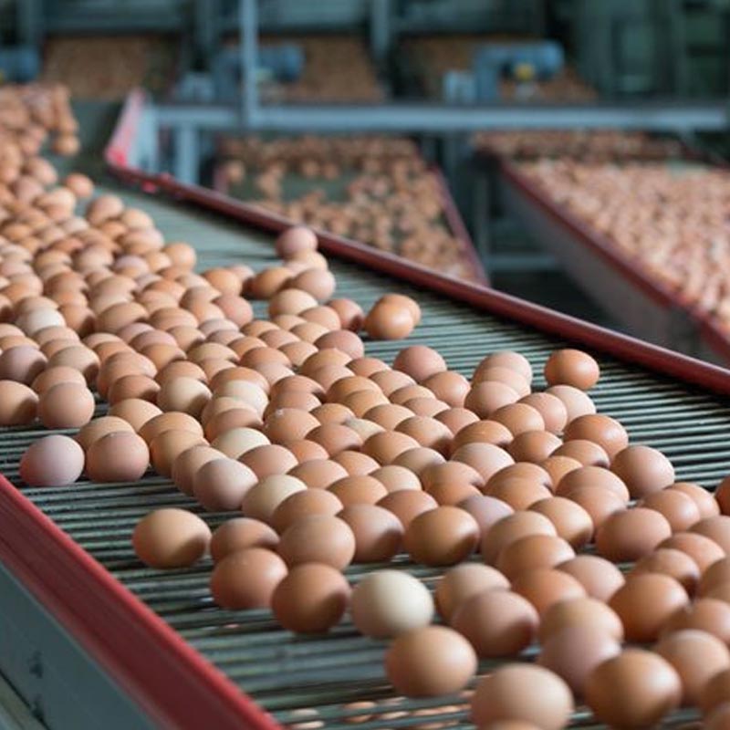 Agro-alimentaire